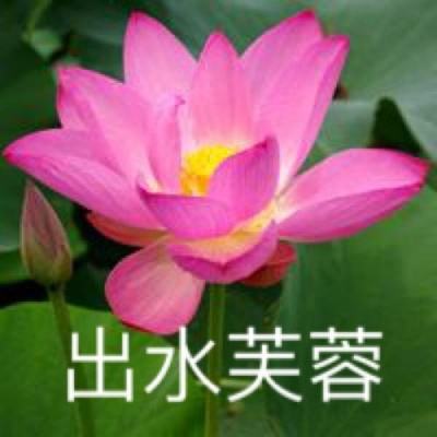 高达世纪公益服下载